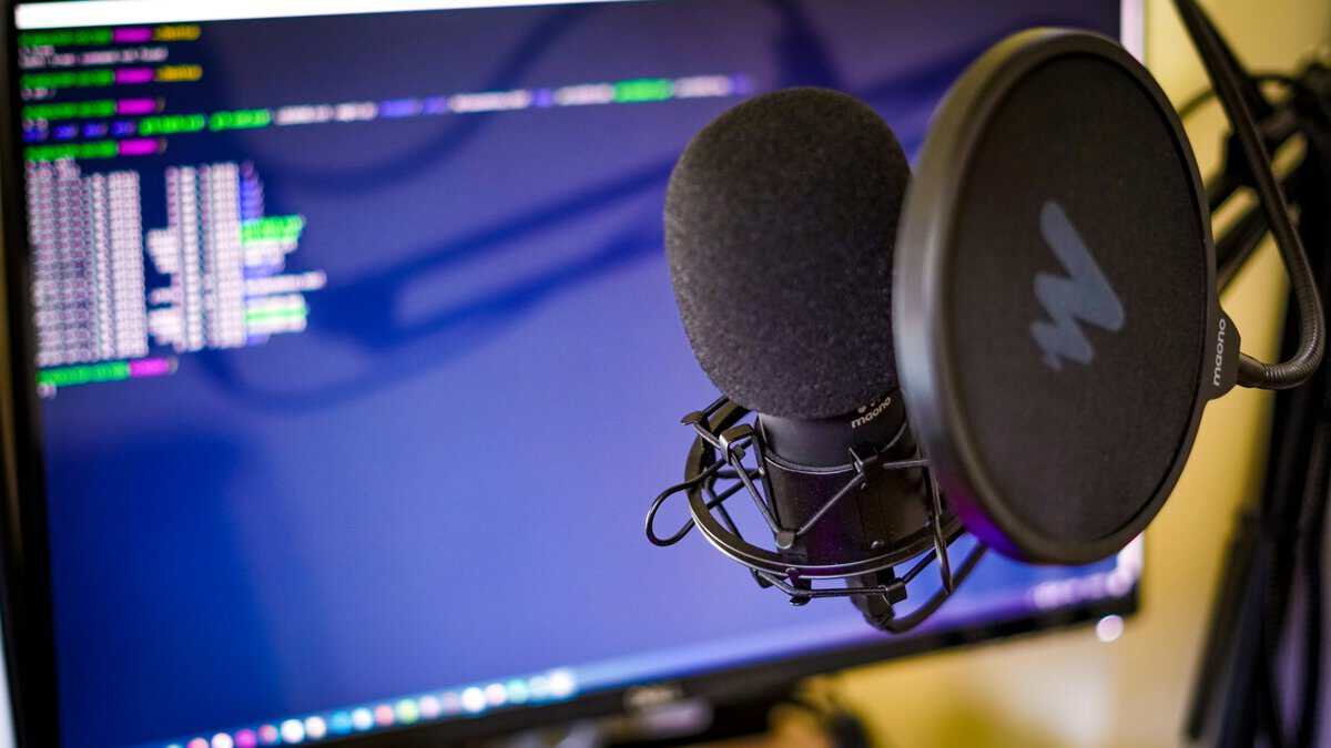 Condenser microphone with a pop filter on a shock mount, a typical streamer setup used when learning how to test a microphone on PC